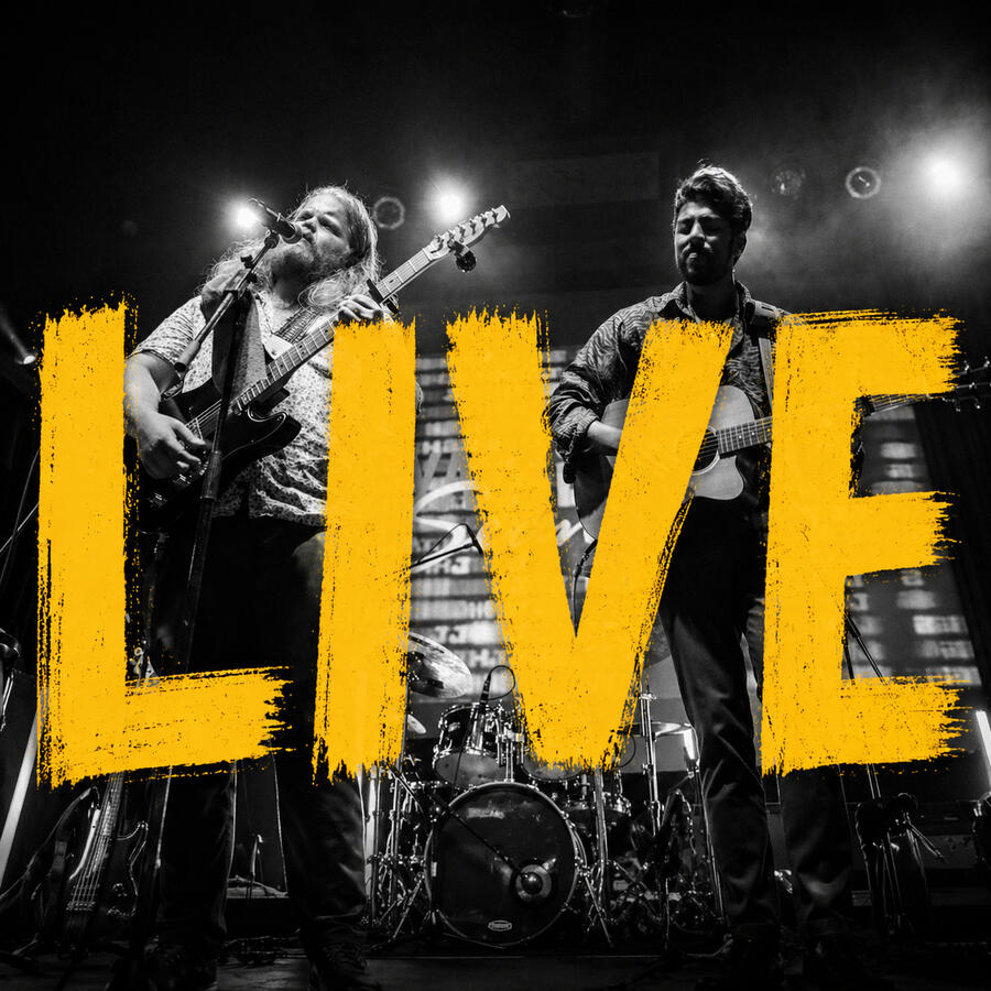 LIVE SHOWS